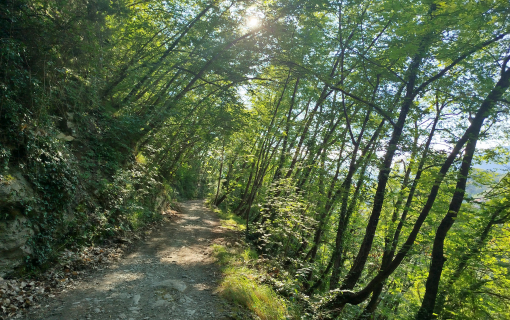 Attività Naturalistiche