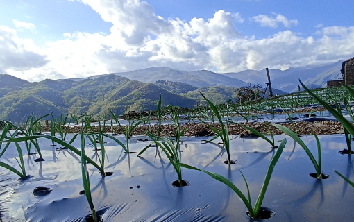 Attività ricettive e agricole